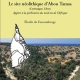 Le site néolithique d’Abou Tamsa