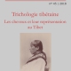 Ateliers d'anthropologie numéro 45